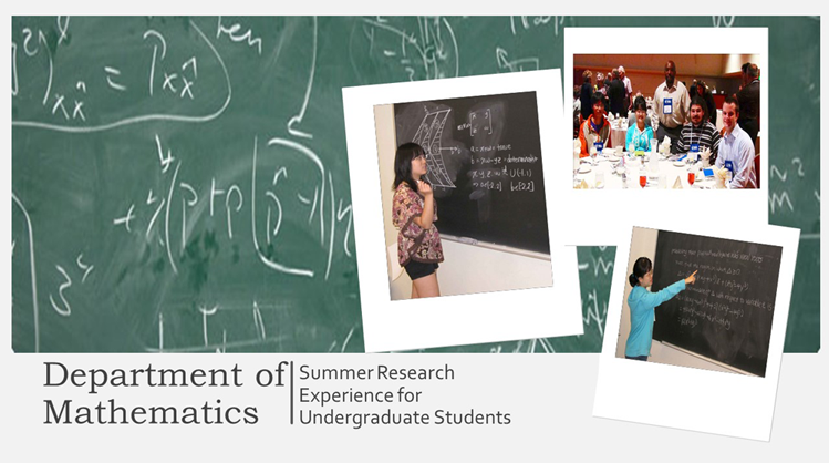 Department of Mathematics: Summer Research Experience for Undergraduate Students