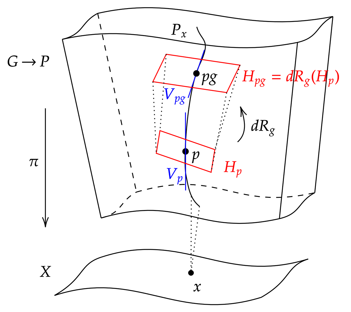 Diagram depicting how right multiplication takes horizontal sub-spaces into each other on a principal bundle.