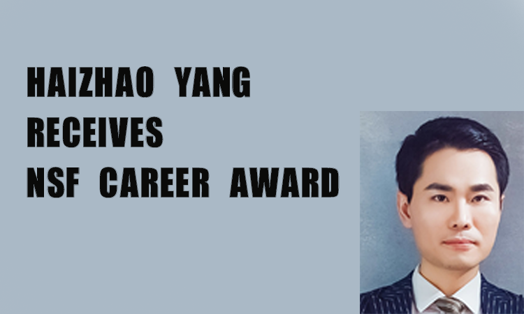 CAREER Award from the National Science Foundation