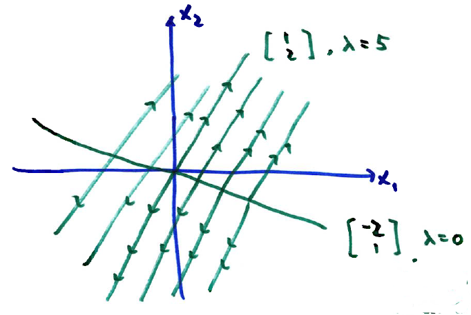 A line of equilibrium points exists along the eigenvector [-2, 1]. All other paths are parallel.