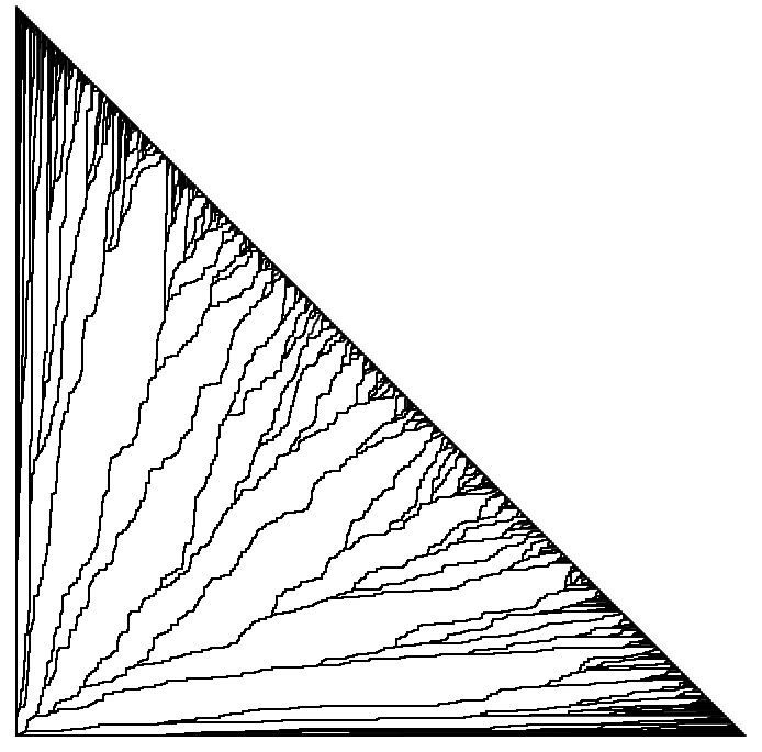 A finite geodesic tree in last-passage percolation, built from geodesics from the origin to sites out to level 1000.