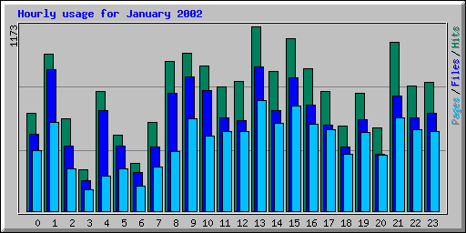 Hourly usage for January 2002