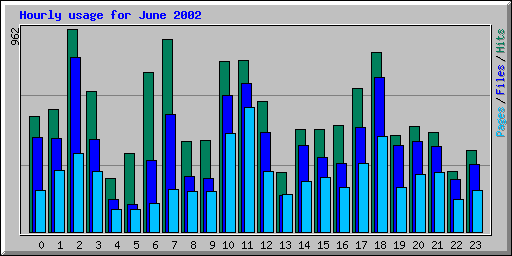 Hourly usage for June 2002