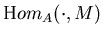 ${\mbox Hom}_A(\cdot,M)$
