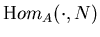 ${\mbox Hom}_A(\cdot, N)$